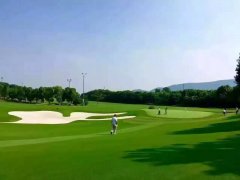 <b>70%的高栖身率</b>