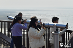 为旅客打制舒服便利